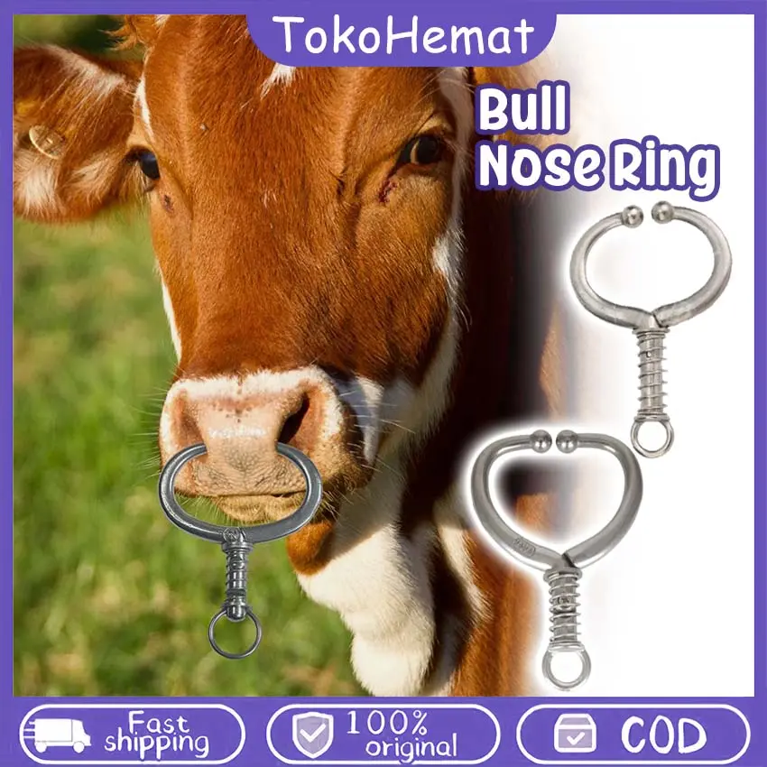 Bull Ring Cincin Besar Cincin Hidung Sapi Bahan Stainless Steel Cincin Keluh Sapi Hidung Traksi Ring