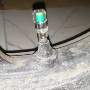 Tutup Pentil Ban Mobil Sepeda Motor Indikator Tekanan Angin Aler Valve Cap 1pcs Anti Bocor