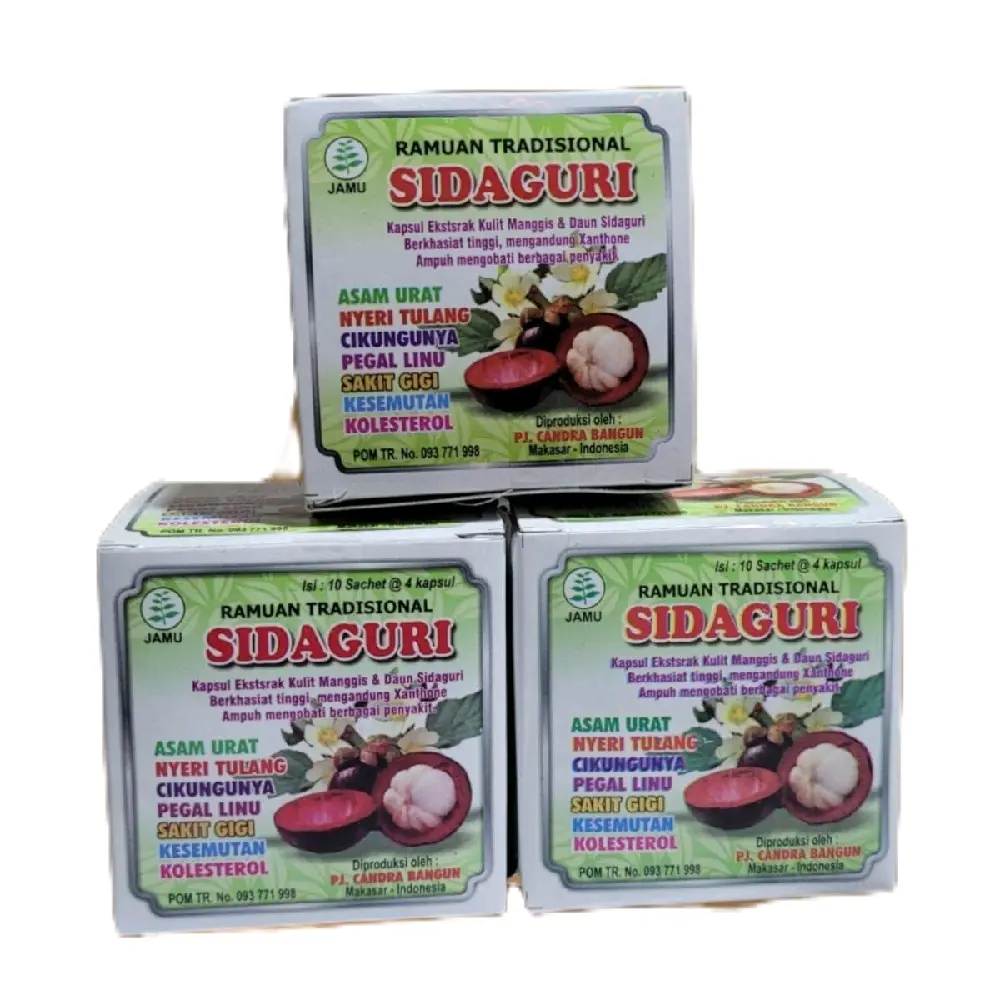 Herbal Sidaguri Untuk Asam Urat Nyeri Tulang Pegel linu Khasiat Nyata Asli