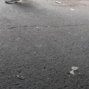 Missoofficial.id HD1248 Handuk Keramas Kepala Bahan Microfiber Pengering Rambut Head Towel Fast Dry Hair anduk Kepala Bulu