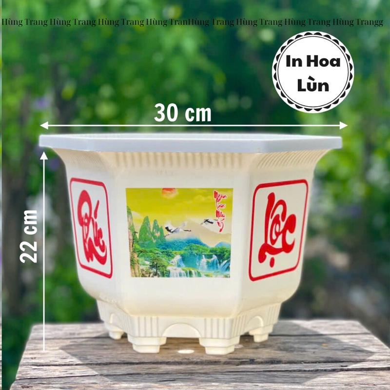    5 - 10 cái   Chậu nhựa trồng cây Lục Giác In Hoa 