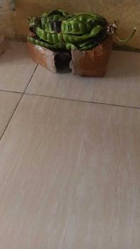Product Review of PETE MINI DAPAT 18 PAPAN ORI from S**4 0