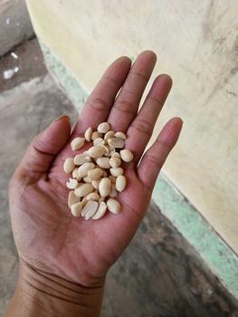 Product Review of kacang kupas 3 bungkus kemasan +-250gram tuban from D**i 2