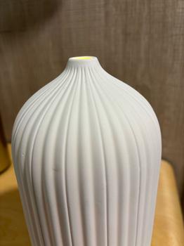 Product Review of Pristine Coral Diffuser | Ultrasonic Mist Diffuser For Larger Areas At Home, Office, Bedroom, Toilet from J**h 2