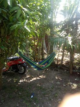 Product Review of Ayunan hammock Camping Outdoor from S**🐯 0
