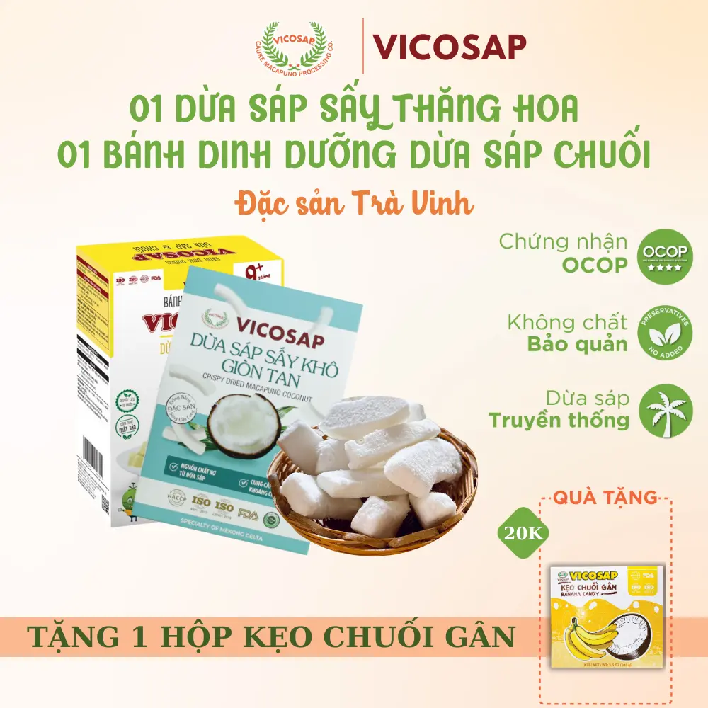 Combo 1 Dừa sáp sấy giòn VICOSAP 1 Bánh dừa sáp chuối ít đường đồ ăn vặt healthy đặc sản Trà Vinh Snack Food