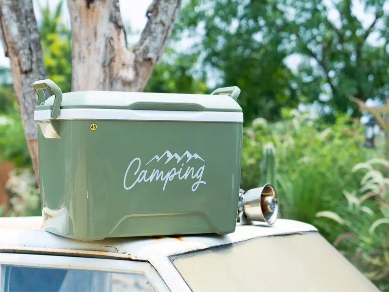 Thùng đá 45 DUY TÂN nhựa PP, công nghệ PU foam, giữ lạnh đến 48 giờ, an toàn vệ sinh thực phẩm Bag Đồng 6