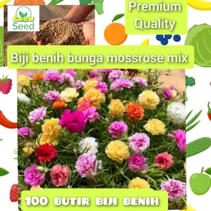 100 butir biji benih tanaman bunga mossrose mix warna