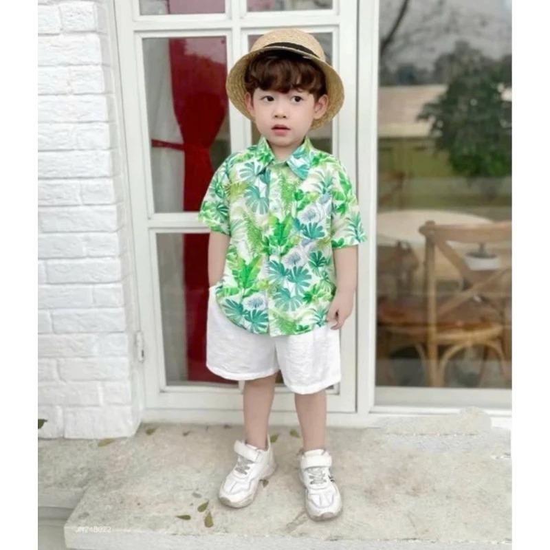 Bộ cộc tay đũi mềm cho bé trai đi biển 7-25kg 8