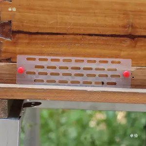10 Pcs Keping Beekeeping Queen Excluder Skat Ratu Apis Cerana Sekat Ratu Lebah Skat Ratu Lebah Pencegah Ratu Kabur Hijrah Kepingan Alat Ternak Lebah Kotak Putih