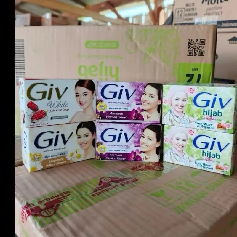 5pcs giv