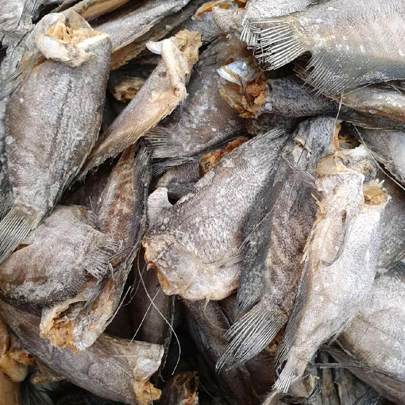ikan asin sepat ukuran sedang tanpa pengawet 0