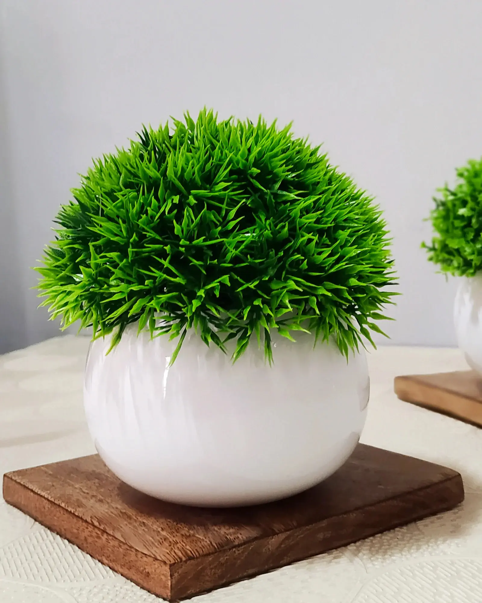 Paket Bervariasi Arficial Plant CO LIVE