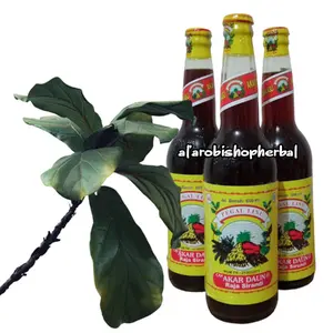 Cap Akar Daun pegalinu 600ml Dewasa