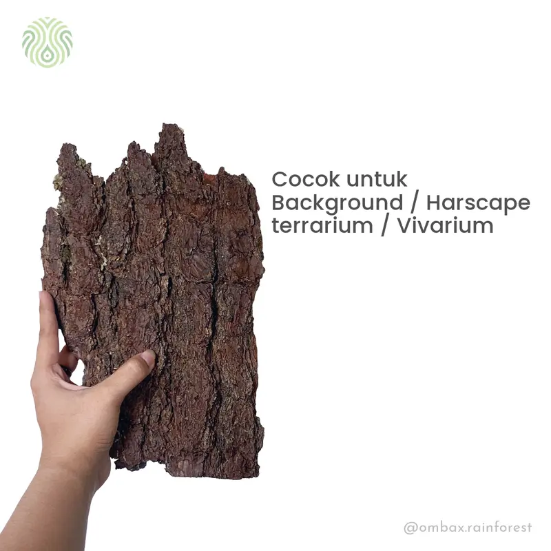 Kulit Pinus Papan - Background Terrarium/Vivarium/Hardscape 1