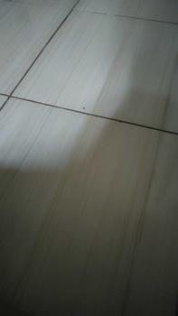 Product Review of Kran Air 1/2 3/4 inch PVC Jumbo / Kran drat kuningan Engkol Honxi / Kran Taman from o**g 0