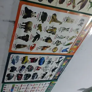 Poster Edukasi Anak Belajar Gambar Paket Angka Huruf Binatang Hewan Buar Sayur Hijaiyah Transportasi