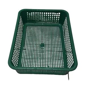 Keranjang Kotak Tempat Buah Surat Komet Keranjang Plastik Serbaguna