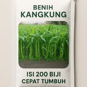 REPACK- BENIH KANGKUNG ISI 200 BUTIR