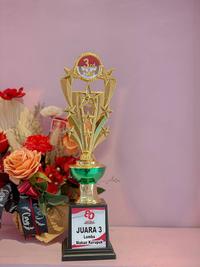 Gambar Piala Throphy Kejuaraan Tinggi 36 cm Bebas Custom Tulisan Foto Angka dan Ucapan - Angka dari Bonekahandmadesukasuka Kab. Sukoharjo 4 Tokopedia