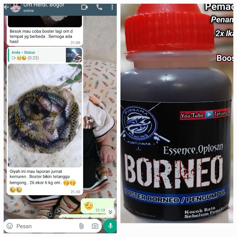 Product Introduction of Booster Borneo / Pengumpul Ikan 13
