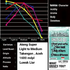 Arabika Luwak Liar Gayo 100g