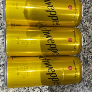 Schweppes Tonic Water [250ml]