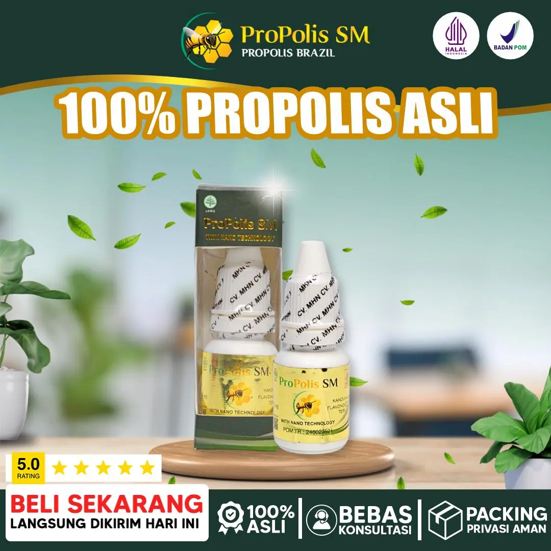 ProPolis SM Brazil - Tetes Herbal 100% Propolis Asli untuk Jaga Gula Darah & Rawat Luka Minor - BPOM TR 246023521 & Halal MUI - Obat Telinga Bernanah & Congek - Obat Herbal Original