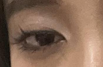 Product Review of Press&Go Lash For Your Vanity Bulumata/Eyelash Individual/ bulu mata tanpa lem cluster lashes from h**🍵 0