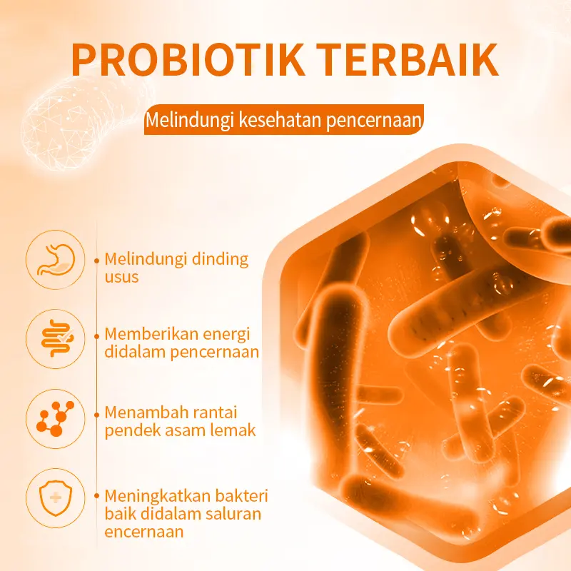 PUAINTA Probiotik Anjing Dan Kucing Atasi Diare Muntah Dan Gangguan Pencernaan Menjaga Kesehatan Usus Anabul suplemen pencernaan hewan 1 Box/10 Strip 3