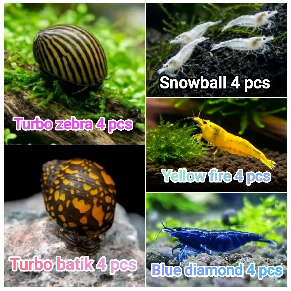 Paket pembersih aquascape mini cocok untuk Hiasan Aquarium Praktis dan Efektif Cocok untuk Aquascape mini