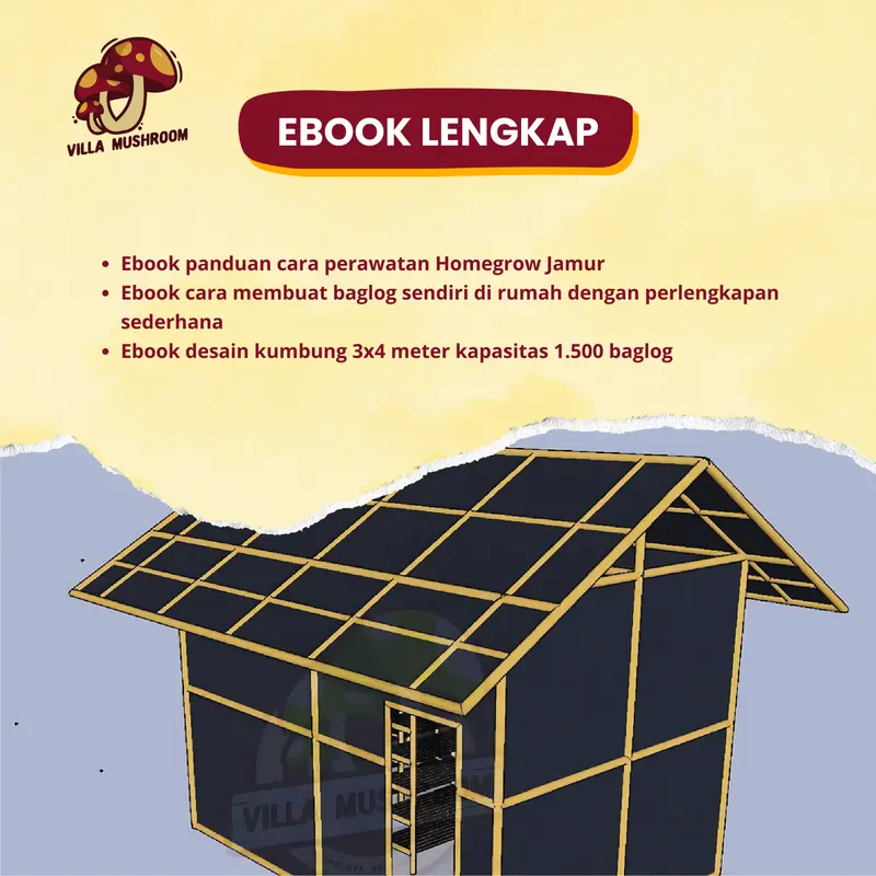 Paket Budidaya Jamur (Homegrow Jamur) 6 Baglog Jamur 3