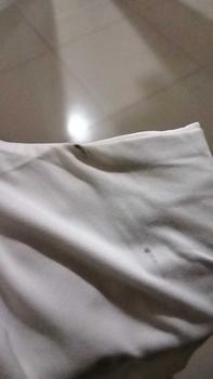 Product Review of [Premium] Crew Neck Basic Slim T-Shirt (S/M/L) from s**a 0