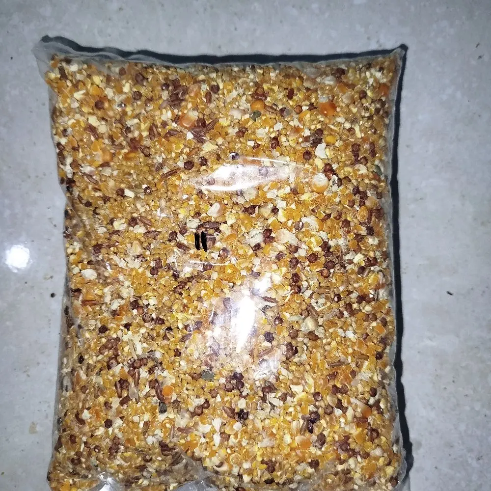Derkuku 1 kg ( makanan untuk burung derkuku)