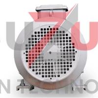 Gambar Dinamo motor 5,5 hp 3 phase 1450 RPM FAW dari Tsuzumi Japan Kota Tangerang 2 Tokopedia