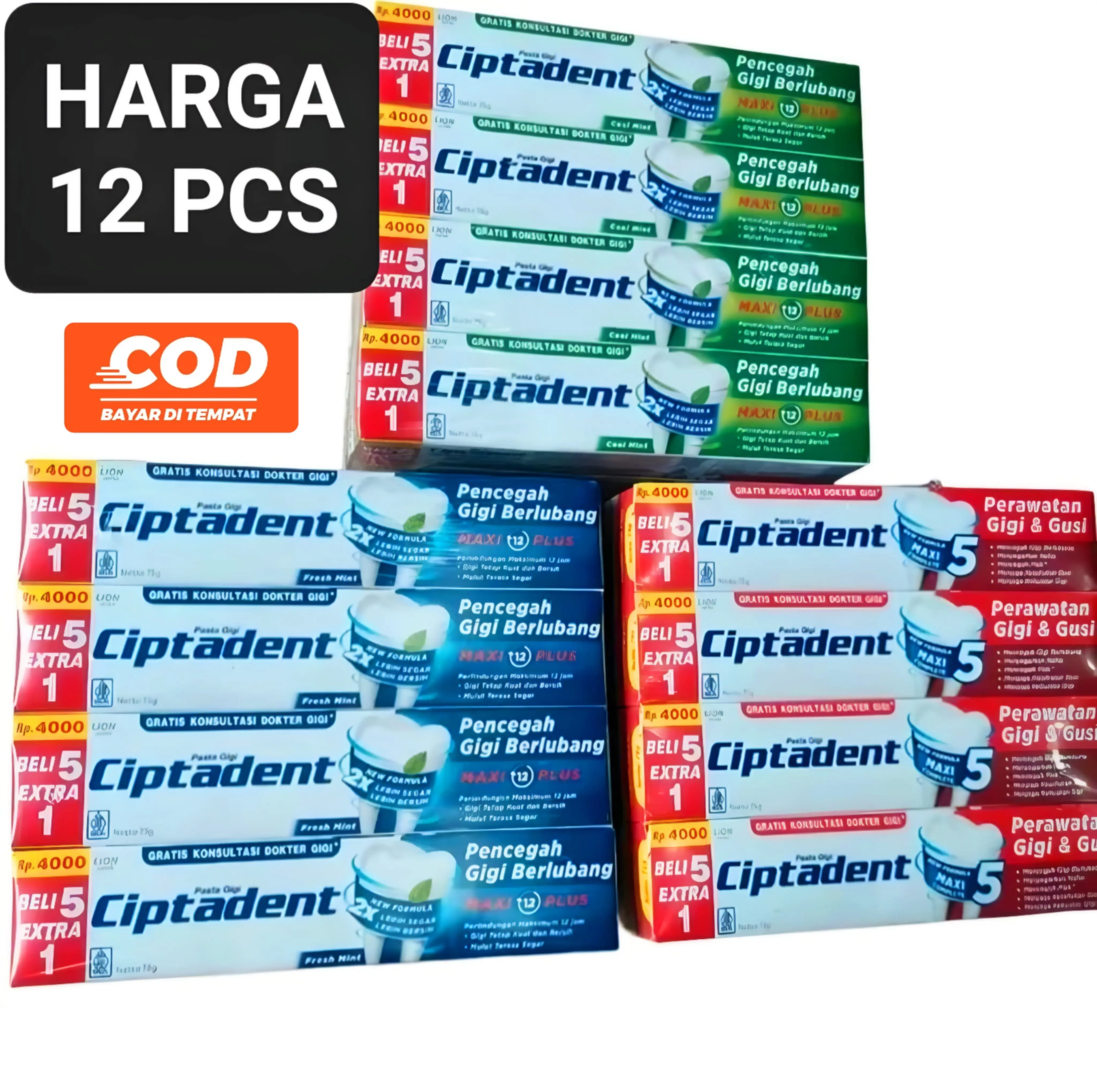 12 PCS CIPTADENT Pasta Gigi 75 gram