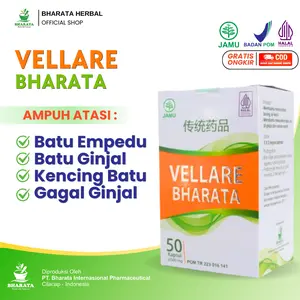 Obat Batu Ginjal & Empedu Vellare Bharata - Solusi Kencing Batu & Nyeri Pinggang Tanpa Operasi 100% BPOM & Halal