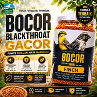 Gambar Makanan Burung CAROLL BOCOR Blackthroat Sanger Mozambik Sehat Gacor dari Seputar Burung Indonesia Kab. Sukoharjo 2 Tokopedia