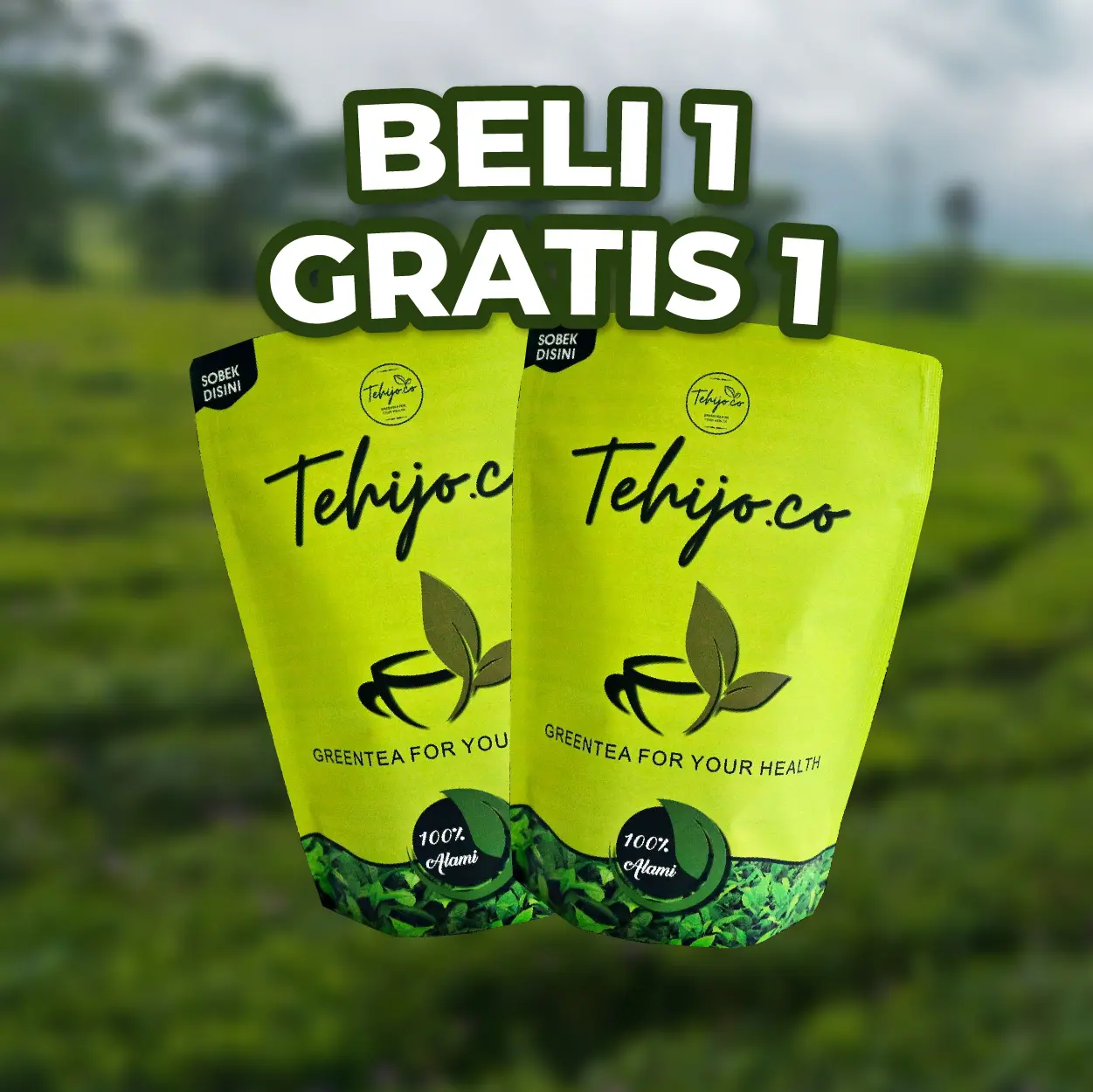 GMV 7 Tehijo.co Beli 1 gratis 1 Teh Hijau Alami - Teh Hijau Sehat - Greentea, Tea