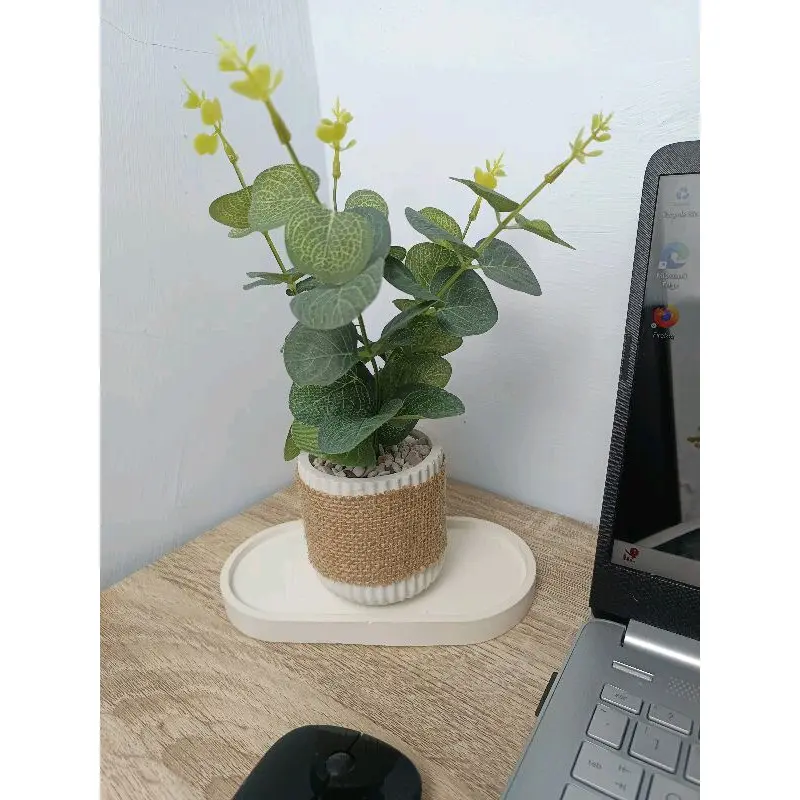 Sensha Galeria Set Daun Eucalyptus Pot Diffuser / Hiasan Meja Estetik / Hiasan Rumah Estetik / Hiasan meja kantor meja kerja Hampers Home decor 2
