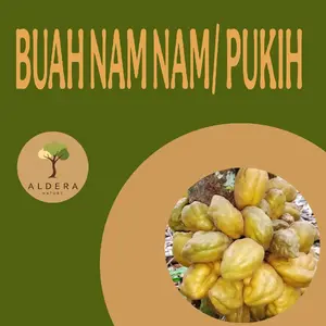 Buah Nam nam / buah pukih langsung petik Dari pohon