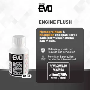 Otogard EVO Motor Engine Flush