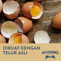 Gambar Hellmann's Real Mayo Tub 3L dari Unilever Food Solutions Kota Semarang 4 Tokopedia