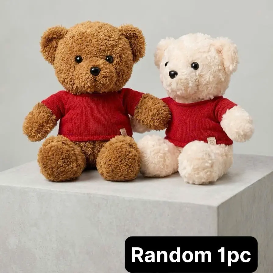teddy 35cm (random 1pc)