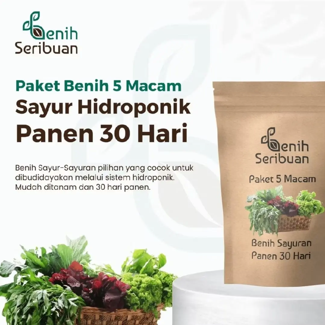 Bibit Sayuran Paket 5 Macam Benih Sayur Hijau Daun 30 Hari Panen Bayam Kangkung Sawi Pakcoy Selada Tanaman