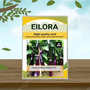 300 BUTIR BIJI/BENIH TERONG PANJANG UNGU Sayur