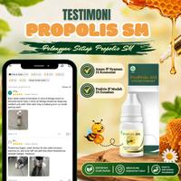 Gambar Obat Tetes Telinga Radang Telinga Infeksi Telinga Gangguan Pendengaran Telinga Berair Congek Berdengung Sakit Telinga Gatal Telinga Anak Dan Dewasa - Propolis SM PALING AMPUH NAMUN SETIAP ORANG HASILNYA BERBEDA - PROPOLIS SM dari HerbsID Kota Administrasi Jakarta Barat 5 Tokopedia