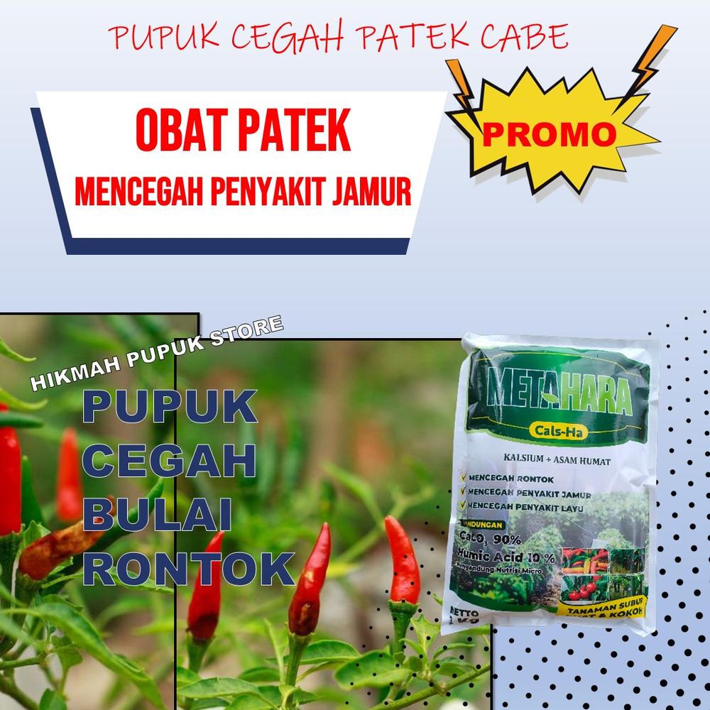 obat patek cabe metahara isi 1 kg obat cair kalsium untuk cegah cabai rawit terlaris - METAHARA