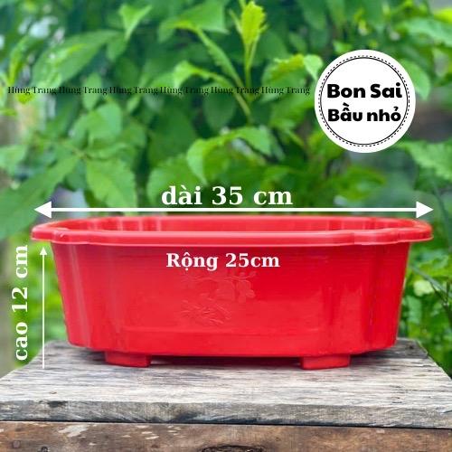 [ 5 cái ] Chậu Nhựa Bon Sai Trồng Cây Dày Dặn Đủ Size