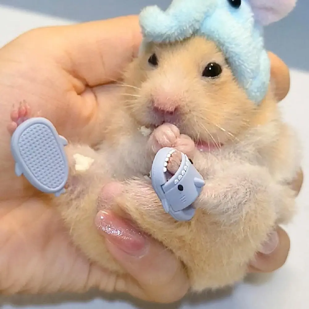 Dép Hamster, Dép Cá Mập Siêu Nhỏ, Dép Hoạt Hình Dễ Thương, Trang Trí Thú Cưng Nhỏ, 2X1Cm